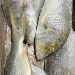 خرید ماهی سنگسر شعری